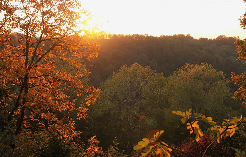 Farm stay La Traversina